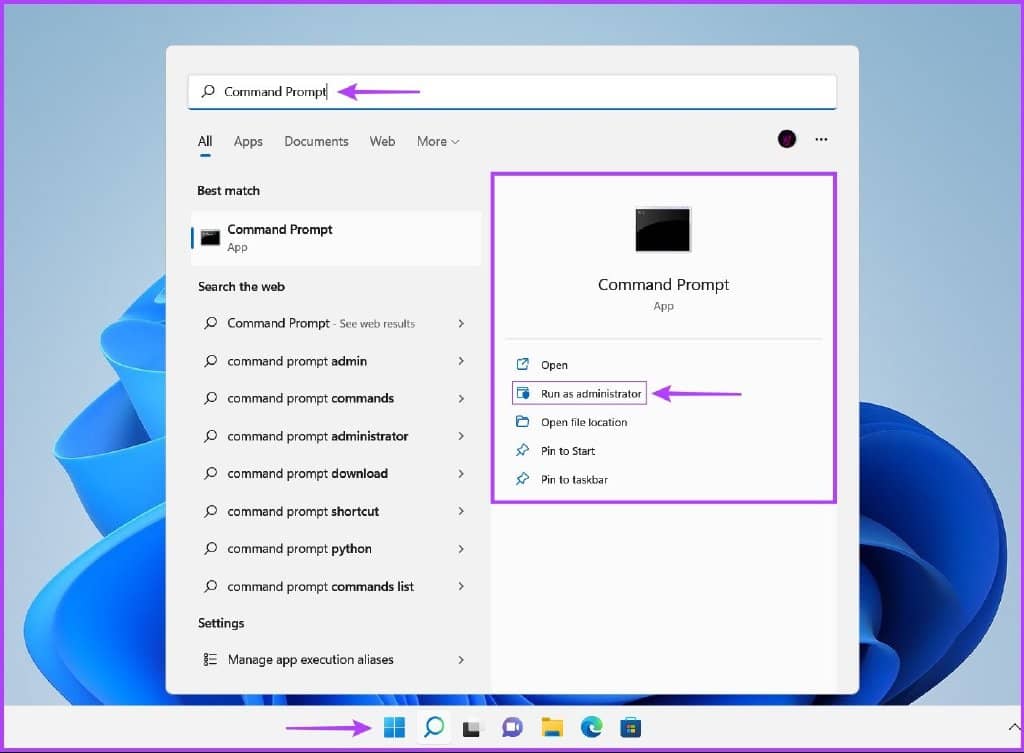 windows-11