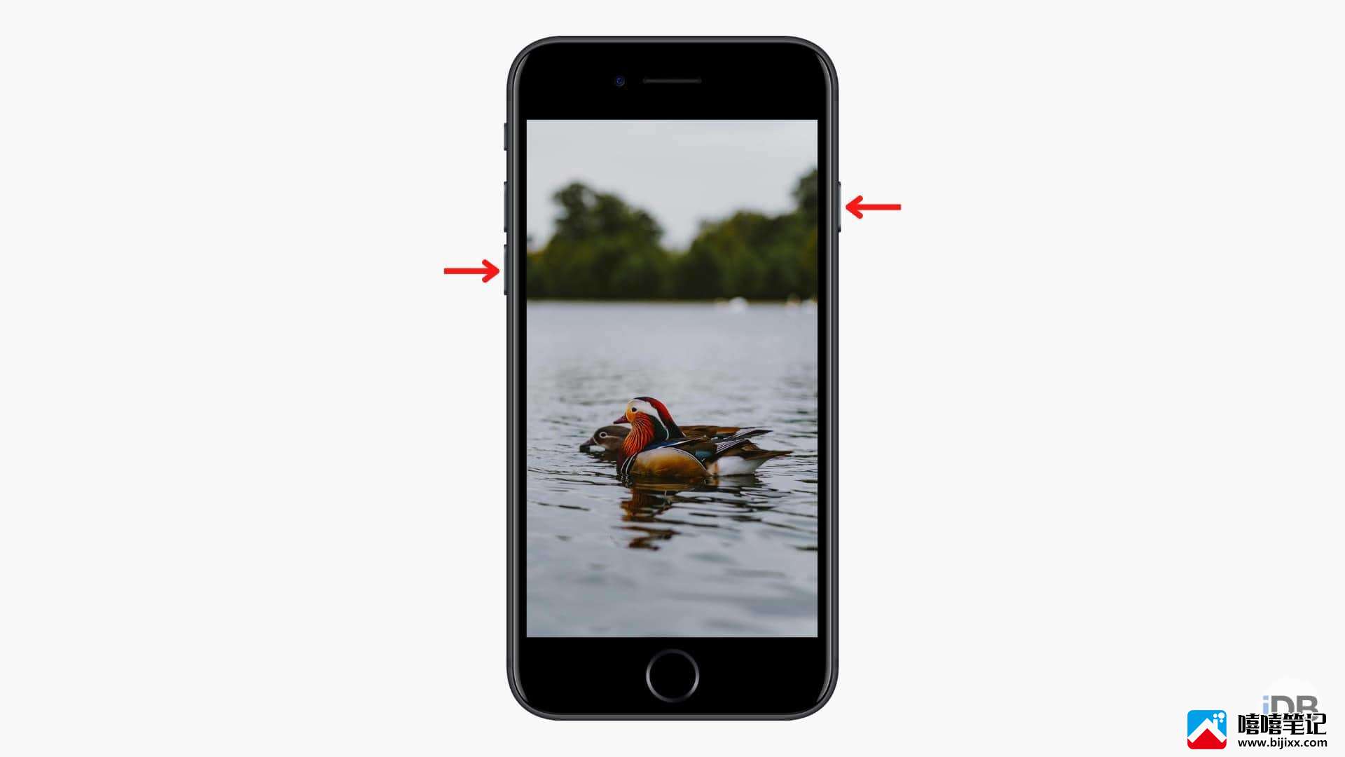如何将您的 iPhone 或 iPad 进入recovery模式-第4张图片-嘻嘻笔记 如何将您的 iPhone 或 iPad 进入recovery模式-第4张图片-嘻嘻笔记